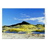 L'herbe a couvert des dunes, quatre-vingt-dix plag cartes