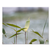L'hiver vient photos sur toile