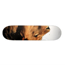 Li-on Skate Board