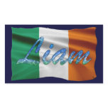 LIAM Name & Irish Flag Personalised Gift Stickers