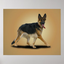 LIBBY POSTER
