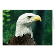 Liberty Greeting Cards