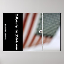 Liberty in Distress Poster