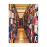 Library Stacks