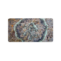 Lichen formé rond sur le granit étiquettes d’adresse