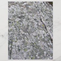 Lichens sur la texture énorme de roche prospectus