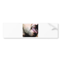 Lick Bumper Stickers