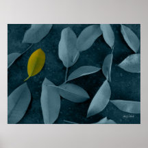 Life After The Fall - You're Special! Posters
