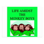 life amidst the  monkey boys post card
