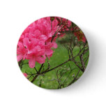 Life Among Death Pins