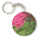 Life Among Death Key Chains