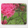Life Among Death Mouse Mats