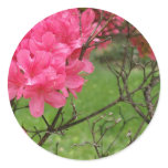 Life Among Death Round Sticker