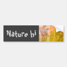 life and beauty bumper stickers