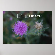 Life and Death thorns Poster