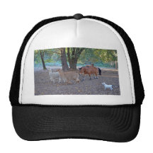 Life at the ranch hat