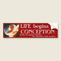 LIFE begins atCONCEPTION bumper stickers