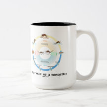 Life Cycle Of A Mosquito (Egg Larva Pupa Imago) Mug