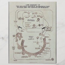 Life History Of The Malaria Parasite Plasmodiume V Flyer Design