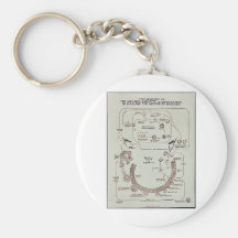 Life History Of The Malaria Parasite Plasmodiume V Key Chains