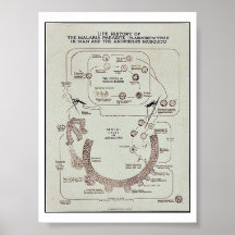 Life History Of The Malaria Parasite Plasmodiume V Print
