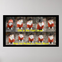 Life in the Fast Lane! Posters