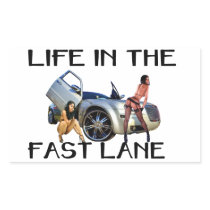 LIFE IN THE FAST LANE STICK RECTANGLE STICKERS