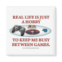 Life is a Hobby Between Games