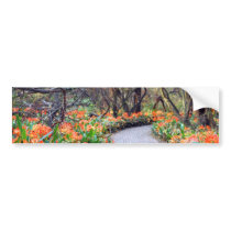 Life is a journey bumper stickers