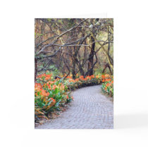 Life is a journey cards