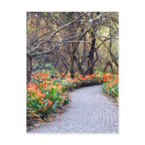 Life is a journey postcards