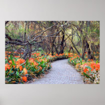 Life is a journey print