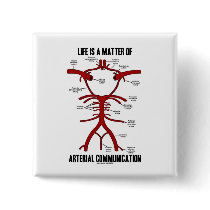 Life Is A Matter Of Arterial Communication