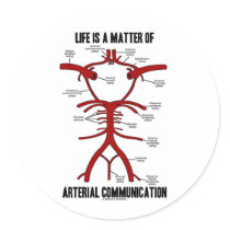 Life Is A Matter Of Arterial Communication