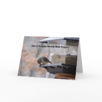 Life Is Fragile, Handle With P... Greeting Card