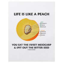 Life Is Like A Peach Eat Sweet Mesocarp Spit Out