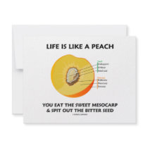 Life Is Like A Peach Eat Sweet Mesocarp Spit Out