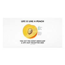 Life Is Like A Peach Eat Sweet Mesocarp Spit Out