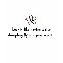 Life is like a Rice Dumpling T-Shirt