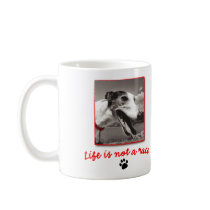 Life is NOT a Race Mugs