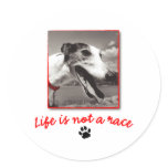 Life is NOT a Race