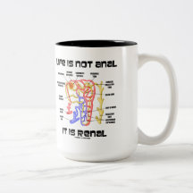 Life Is Not Anal It Is Renal (Kidney Nephron) Mug