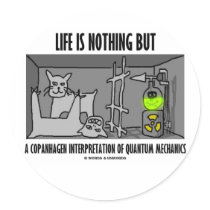 Life Is Nothing But A Copanhagen Interpretation
