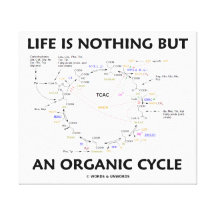 Life Is Nothing But An Organic Cycle (Krebs Cycle) Gallery Wrap Canvas