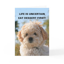 LIFE IS UNCERTAIN, EAT DESSERT F... CARD