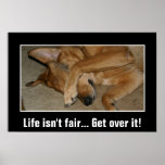 Life isn't fair to anyone you big crybaby (L) Posters