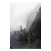 Life On The Edge. Photograph