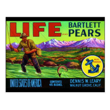 Life Pears Post Cards