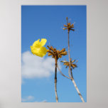 Life Poster