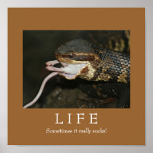 LIFE POSTER
